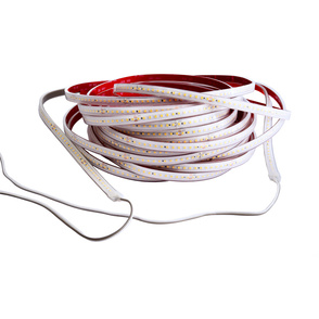 LED Stripes ab IP44 bei B&H Elektro GmbH in Grimma